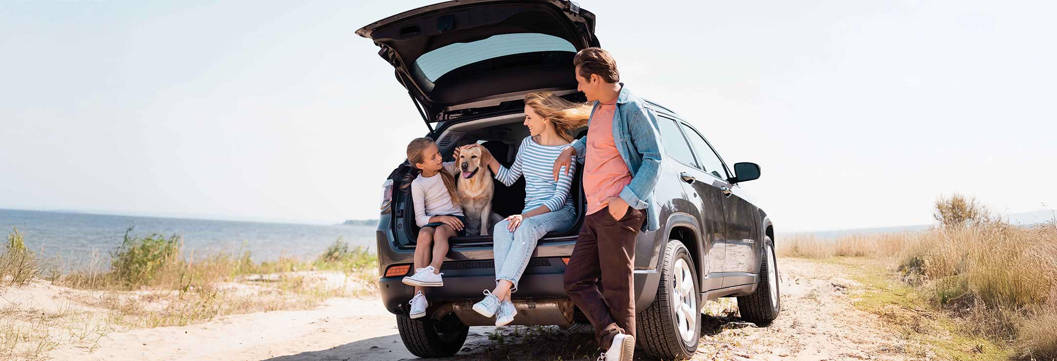 Vehicle Loans 